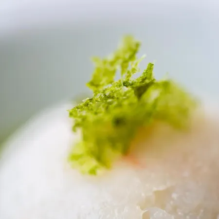 Hotel Zen Versilia Marina di Pietrasanta