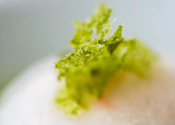 Готель Zen Versilia Марина-ді-П'єтразанта