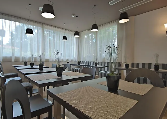 Zen Versilia Hotel 4*